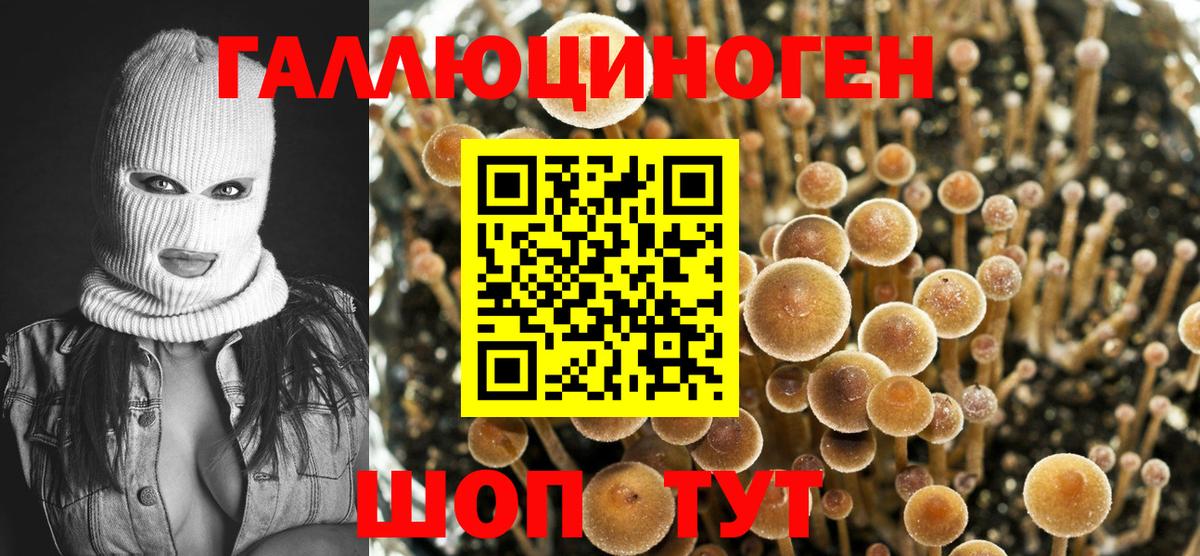 Коломна  Галлюциногенные грибы Psilocybine cubensis  Вход с VPN 